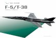 F-5/T-38 - AllClear