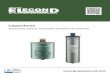 Capacitores resina Gas R-10-2020 - Grupo Elecond