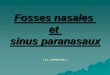 Fosses nasales et sinus paranasaux - staff.univ-batna2.dz