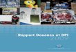 Rapport Douanes et DPI 2009 - wcoomd.org