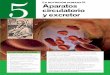 L nutrición ii. 5 Aparatos circulatorio y excretor
