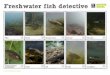 Freshwater fish detective