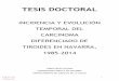 TESIS DOCTORAL - academica-e.unavarra.es