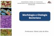 Morfologia e Citologia Bacteriana