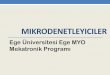 Ege Üniversitesi Ege MYO Mekatronik Programı