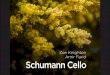 Zoe Knighton Schumann Cello