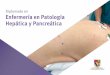 Diplomado en Enfermería en Patología Hepática y Pancreática