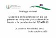 Diálogo virtual Desafíos en la protección de ... - CEPAL