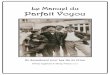 Le Manuel du Parfait Voyou - storygame.free.fr