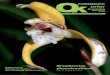 Vereinsblatt der Österreichischen Orchideengesellschaft