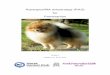 Rasespesifikk avlsstrategi (RAS) for Pomeranian