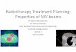 Radiotherapy Treatment Planning: Properties of MV beams