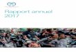 Rapport annuel 2017 - IPU