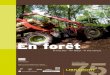 En forêt - Econologie.com
