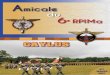 AMICALE DES ANCIENS DU 6 CAYLUS