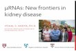μRNAs: New frontiers in kideny disease