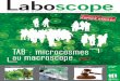 TAB : microcosmes macroscope P07 - AFTLM