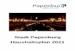 Stadt Papenburg Haushaltsplan 2021