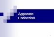 Apparato Endocrino - uniroma1.it