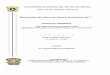 “Monografía del cultivo de Anturio (Anthurium sp.)”
