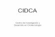 CIDCA - CIC Digital