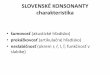 Fonetická klasifikácia slovenských konsonantov