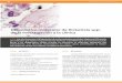 Diagnóstico molecular de Rickettsia spp: de la 