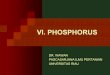 VI. PHOSPHORUS