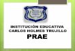 INSTITUCIÓN EDUCATIVA CARLOS HOLMES TRUJILLO PRAE