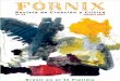 FORNIX -Fiplima 2013-