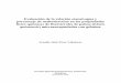 Evaluación de la relación etanol:agua y porcentaje de 