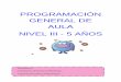 PROGRAMACIÓN GENERAL DE AULA NIVEL III - 5 AÑOS