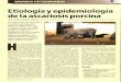 Etiología y epidemiología de la ascariosis porcina