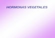 HORMONAS VEGETALES - Aula Virtual - FCAyF - UNLP