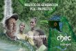 NEGOCIO DE GENERACION PCH - PROYECTOS
