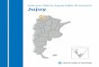Informe Oferta Exportable Provincial Jujuy