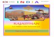 I Magici colori del Rajasthan per OCRAL gruppo 2