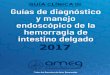 GUÍA CLÍNICA III Guías de diagnóstico y manejo endoscópico 