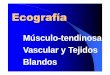 Músculo-tendinosa Vascular y Tejidos Blandos