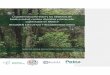 La gobernanza forestal y los objetivos de biodiversidad 