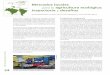 Mercados locales Brasil para la agricultura ecológica 