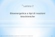 Bioenergetica e tipi di reazioni biochimiche