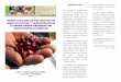 cartilla catalogaci+ n de semillas para pdf-1