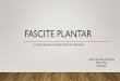 FASCITe PLANTAR - centrosaludsardoma.files.wordpress.com