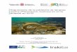 Seguimiento de la población de lamprea marina (Petromyzon 