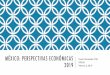 México: Economic Perspectives 2019
