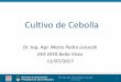 Cultivo de Cebolla - repositorio.inta.gob.ar