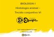 BIOLOGIA I Histologia animal – Tecido conjuntivo VI