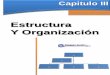 Estructura Y Organización