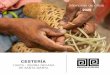 CESTERÍA - Artesanías de Colombia
